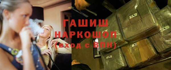 индика Гусев