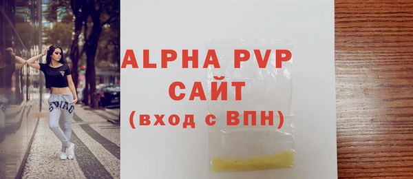 индика Гусев