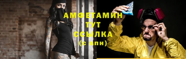 индика Гусев
