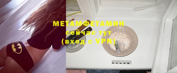 индика Гусев