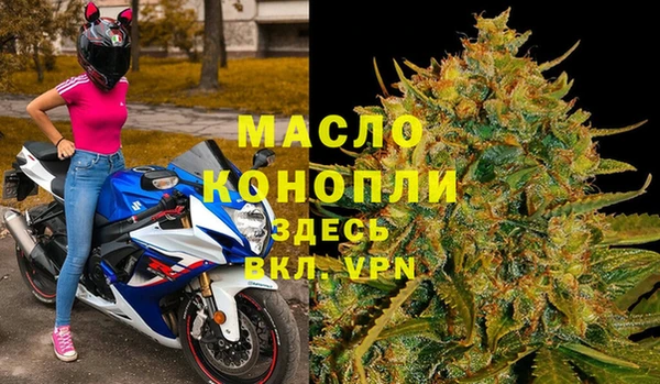 индика Гусев