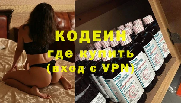 индика Гусев