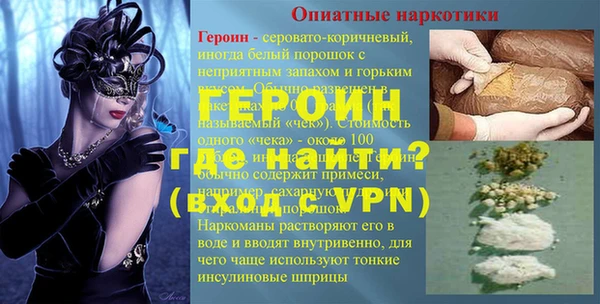 индика Гусев