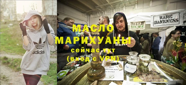 индика Гусев