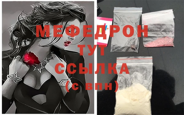 индика Гусев