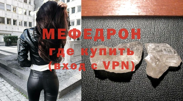 индика Гусев