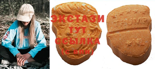 индика Гусев