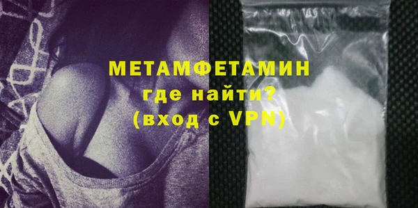 индика Гусев