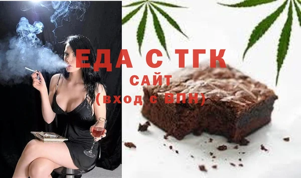 индика Гусев
