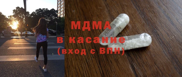 индика Гусев