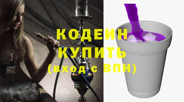 индика Гусев