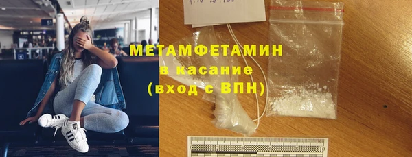 индика Гусев