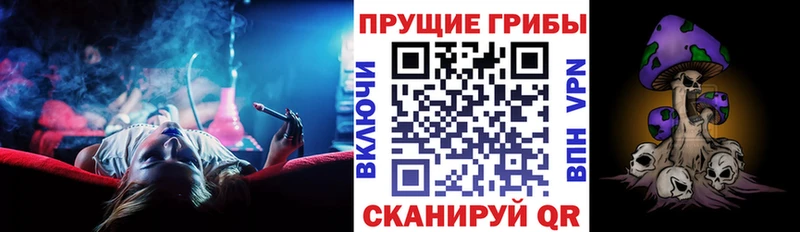 Купить закладки  Курлово  Псилоцибиновые грибы Psilocybe 
