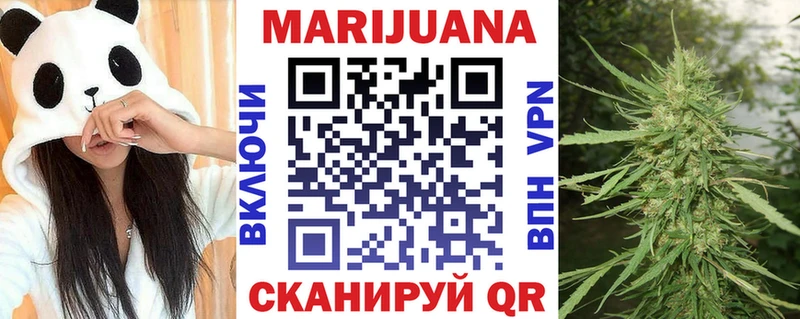Купить закладки  Курлово  Каннабис сатива 